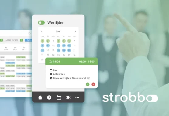 Strobbo_platform-development